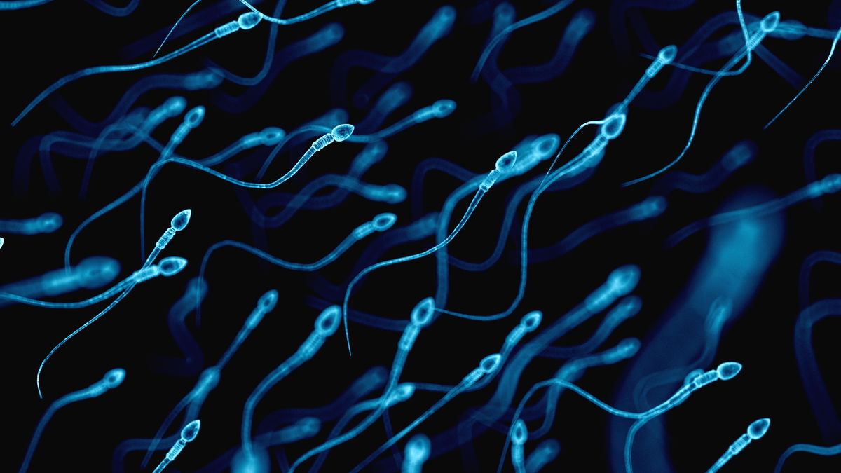 Spermaallergie: Wenn Sex krank macht