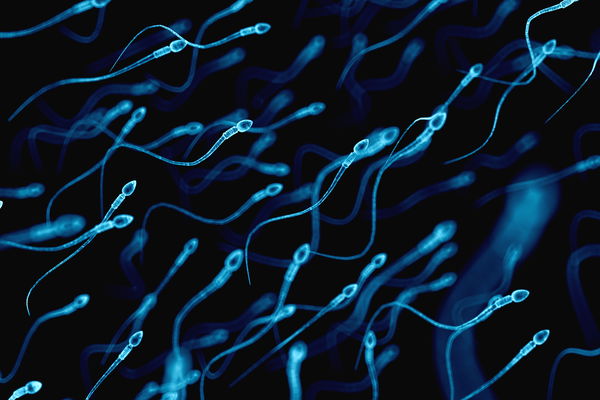 Spermaallergie: Wenn Sex krank macht
