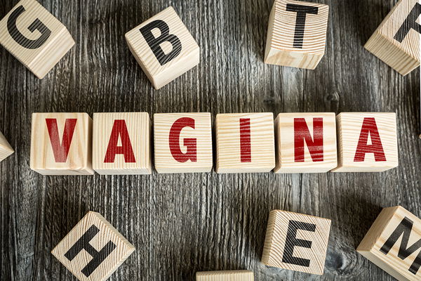 Von Schamlippen, Venuslippen und Liebeslippen