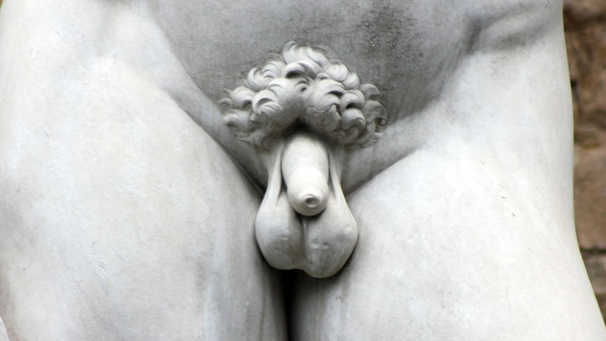 Wie soll eigentlich der perfekte Penis aussehen?