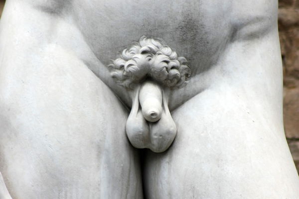 Wie soll eigentlich der perfekte Penis aussehen?